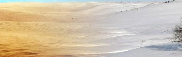 Environmental simulation Banner